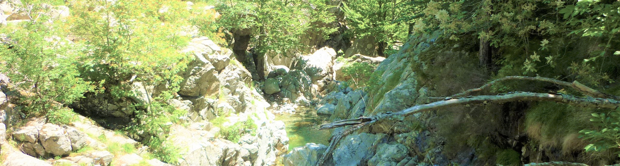 Schlucht mit Wildbach